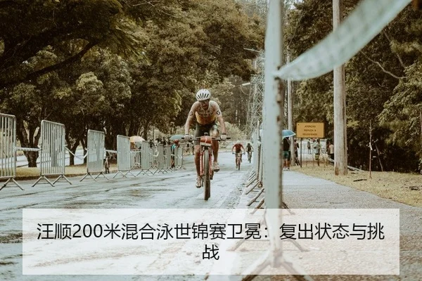 汪顺200米混合泳世锦赛卫冕：复出状态与挑战